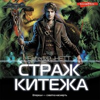 Обложка: Евгений Нетт. «Страж Китежа»